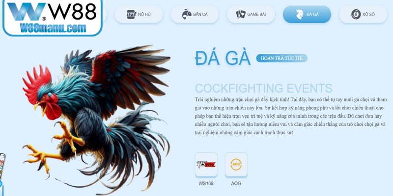 Khuyến Mãi W88 - Kho Quà Tặng Dành Riêng Cho Hội Viên 17 Nên đọc và hiểu kỹ lưỡng các điều khoản, điều kiện dịch vụ trước